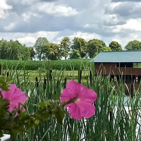 Dom wakacyjny Domek Nad Stawem / A Cozy By The Pond *